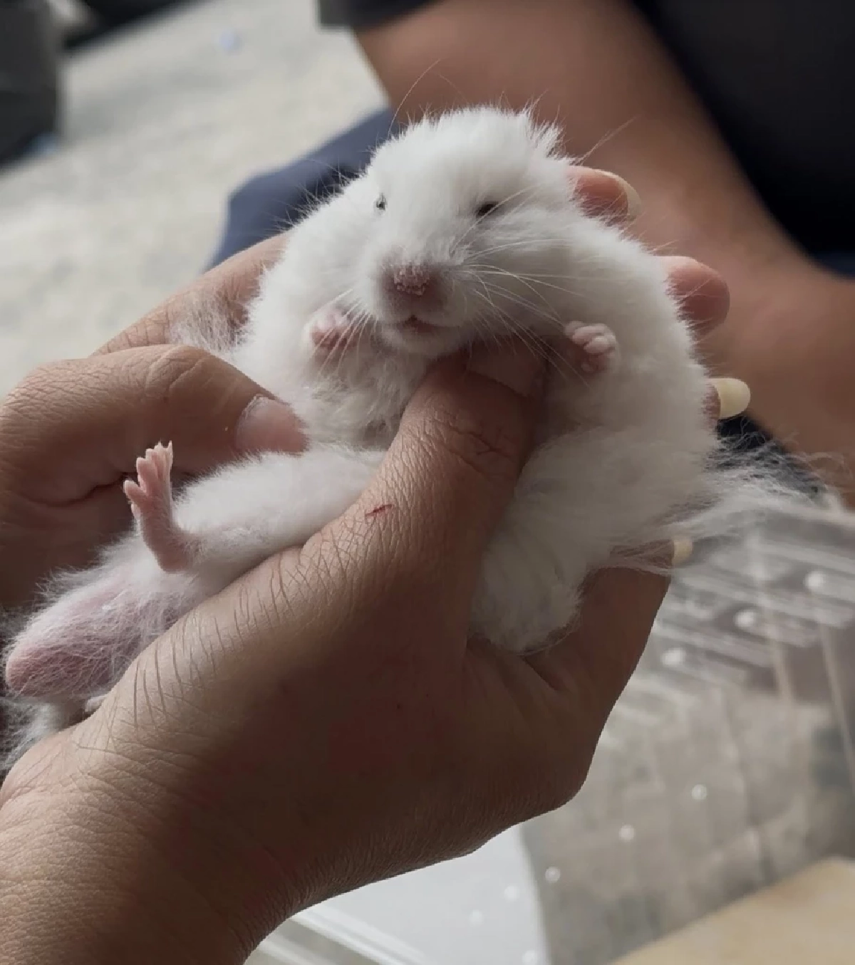 ทนดูไม่ได้ 2 ชีวิตถูกทิ้งตากแดดข้างกองขยะ สาวมาเจอไม่ปล่อยผ่าน