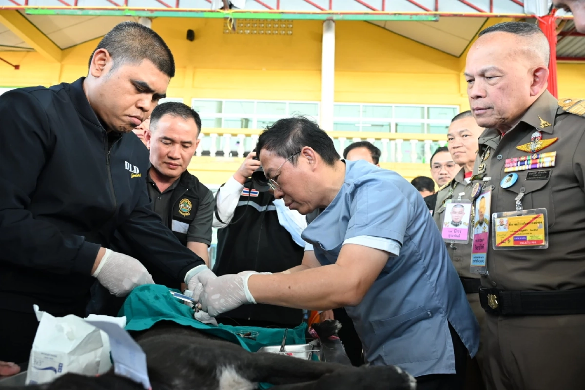 อธิบดีปศุสัตว์เปิดโครงการทำหมันสุนัข-แมวสกัดพิษสุนัขบ้า