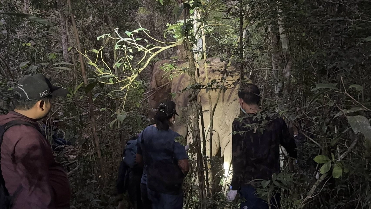 ภาพ @ กรมอุทยานแห่งชาติ สัตว์ป่า และพันธุ์พืช