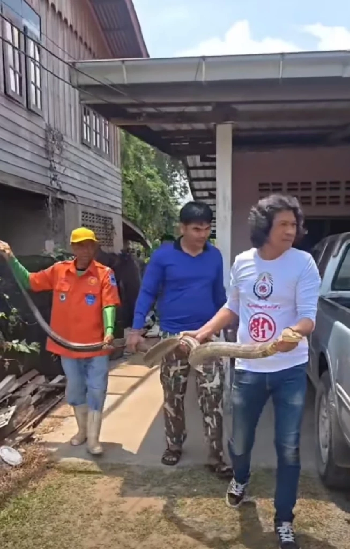 บ้านเลขที่ งูจงอางใหญ่ เลื้อยซุกบ้าน ชูคอแผ่แม่เบี้ย ขู่ฟ่อ