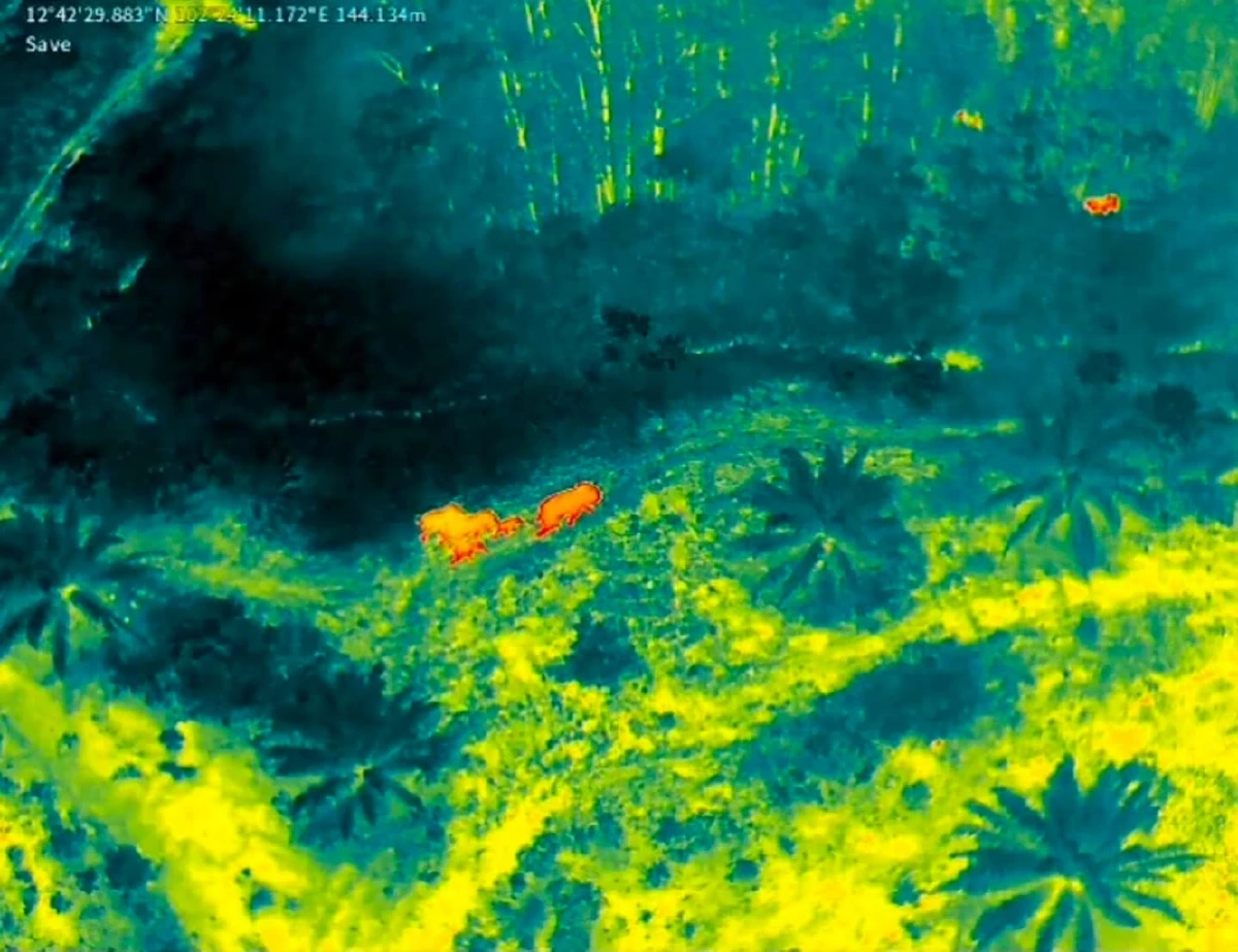 นาทีชีวิต! เร่งช่วยเจ้าจู้ด ลูกช้างป่าเหยื่อน้ำกรด อาการทรุดหนัก