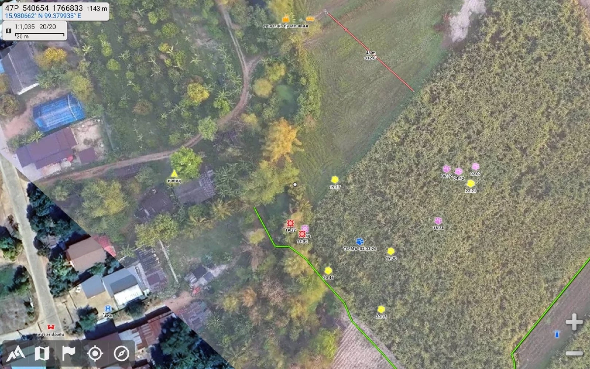 เจ้าหน้าที่จับ "ปิ่น" เสือโคร่งหลงถิ่นสำเร็จ เคลื่อนย้ายคืนป่าห้วยขาแข้งปลอดภัย