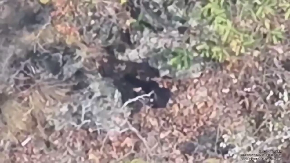 โดรนแฉภาพชายชุดดำลอบเผาป่าดอยสะเก็ด จนท.ระดมกำลังไล่ล่า