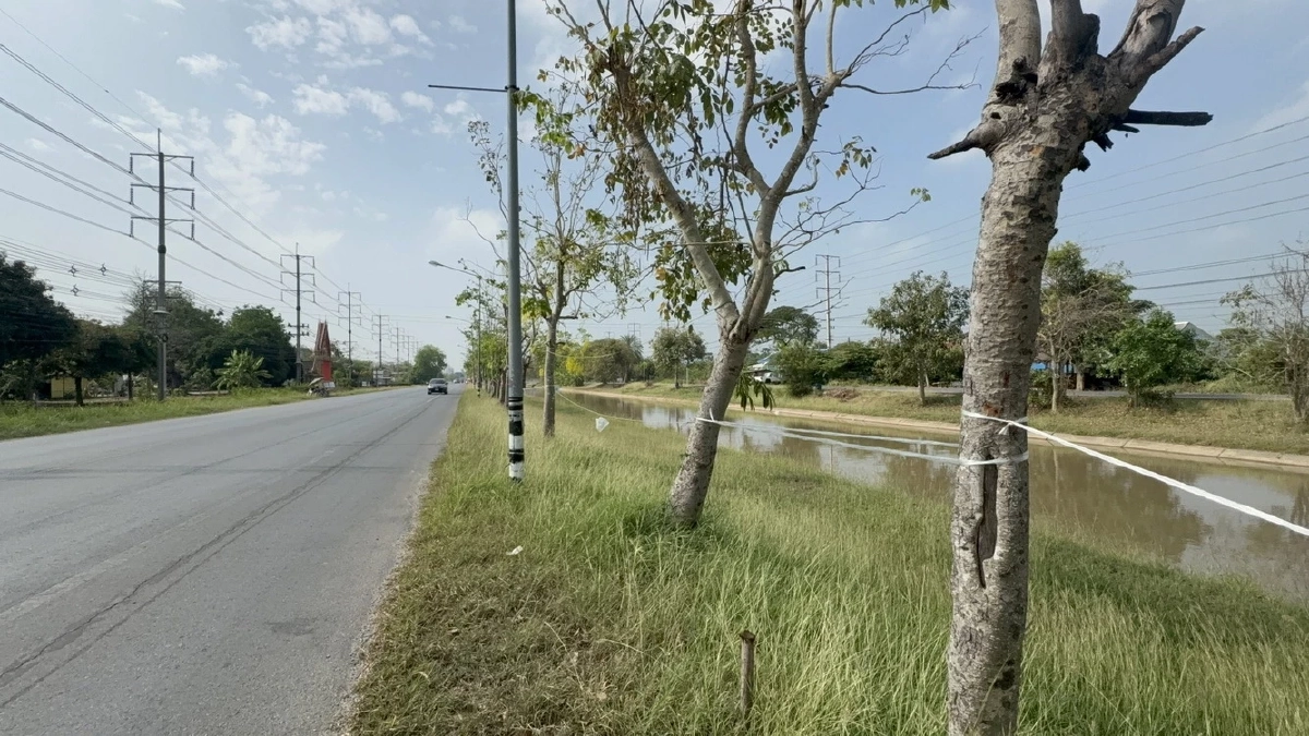 ชาวบ้านแห่ขึงเชือกจองที่ขายของถนนข้าวสุกรับสงกรานต์ปี 69
