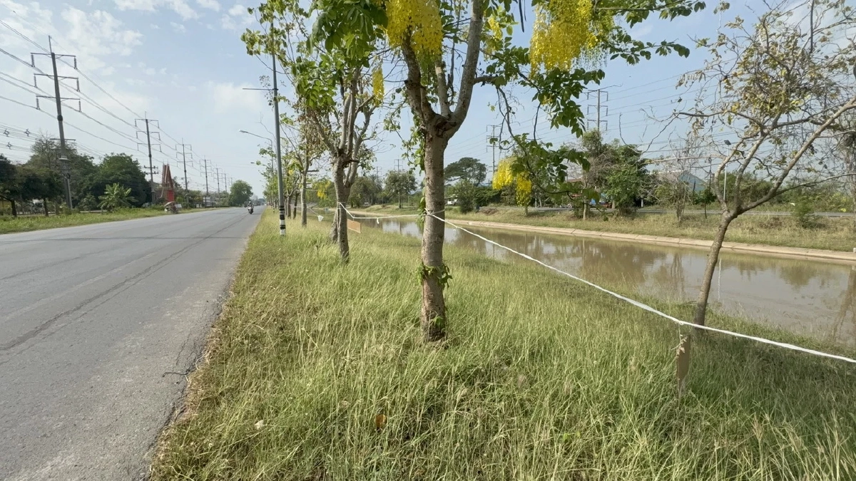 ชาวบ้านแห่ขึงเชือกจองที่ขายของถนนข้าวสุกรับสงกรานต์ปี 69