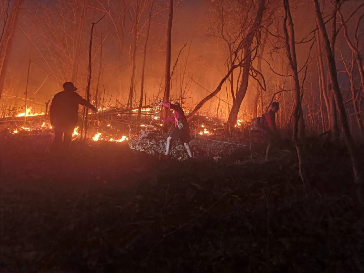 แม่ฮ่องสอนวิกฤต ไฟป่าพุ่ง 610 จุด ค่ามลพิษพุ่งแตะ 1,357 AQI