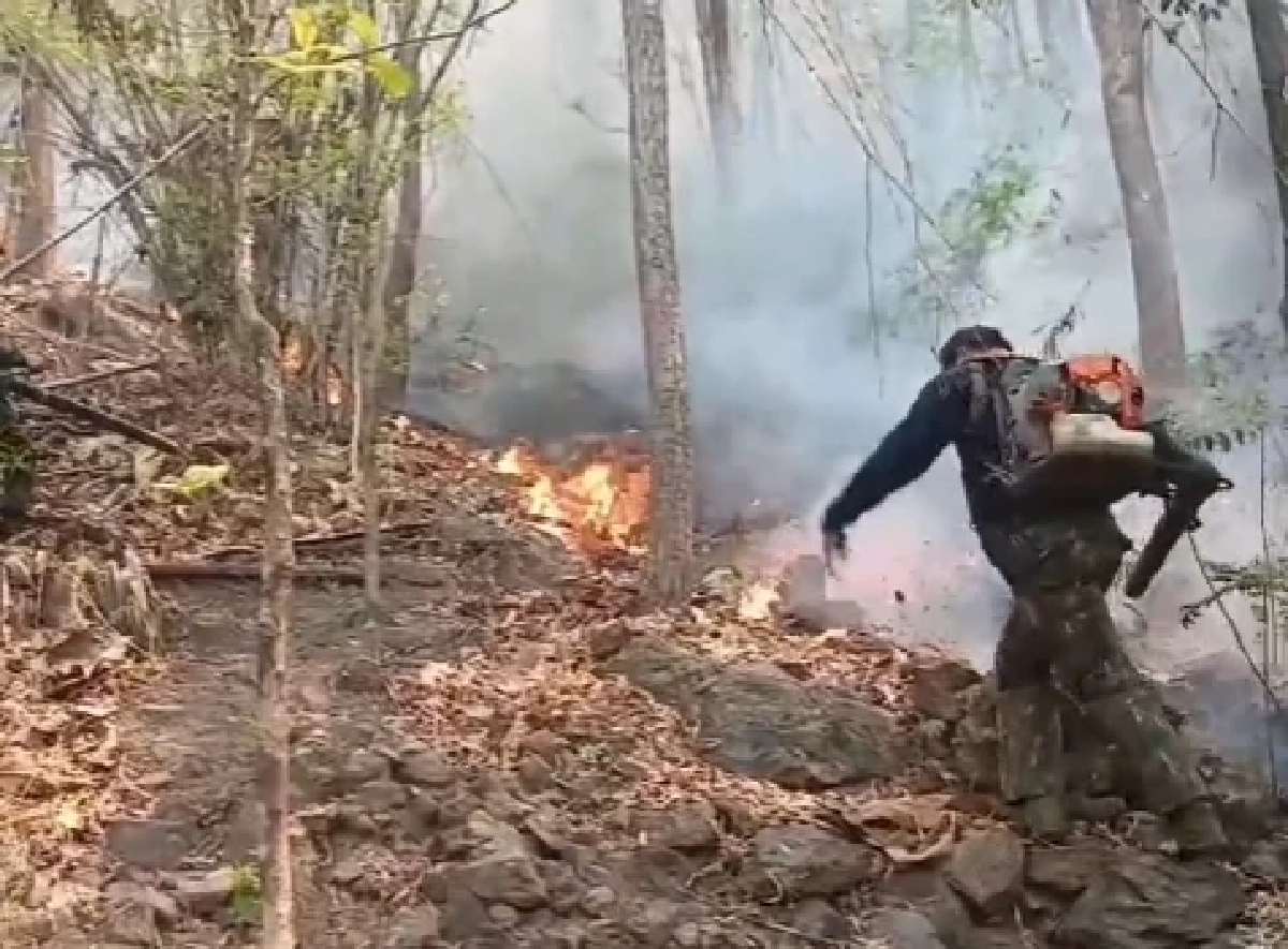 เชียงใหม่วิกฤต! เชียงดาวไฟท่วม 787 จุด จับมือเผาคาหนังคาเขา