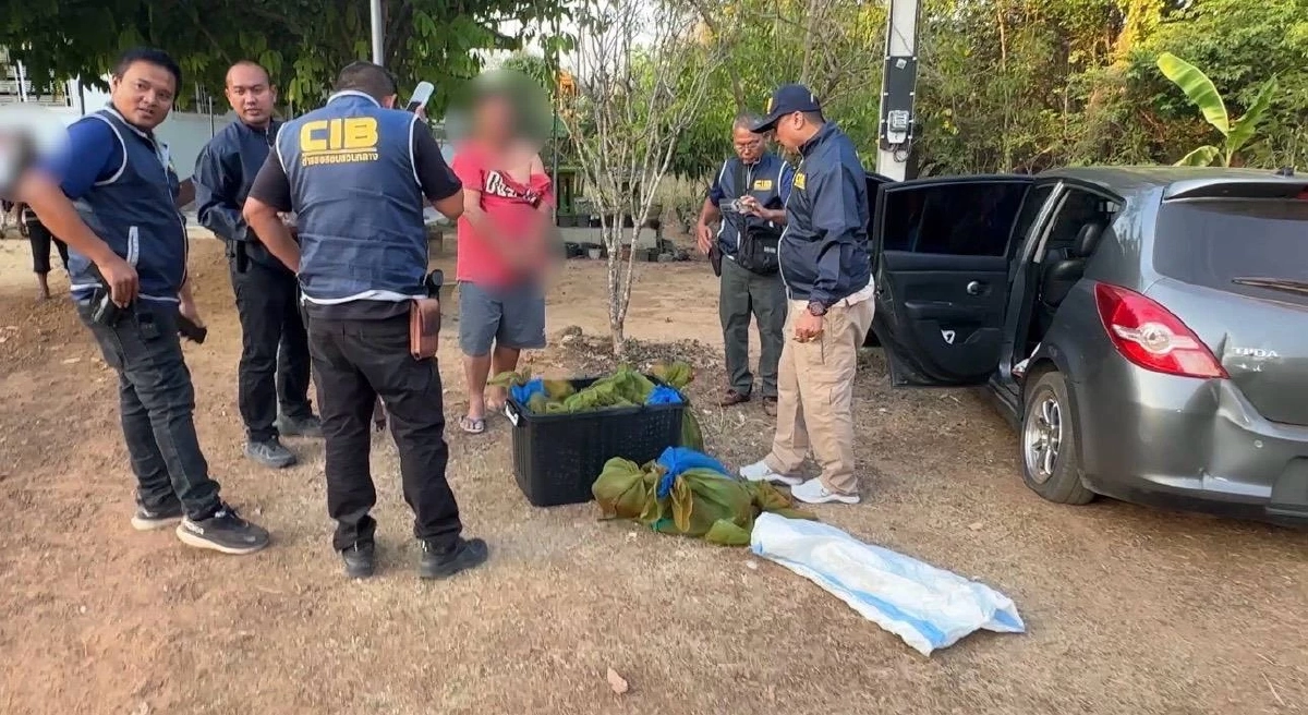 ล่าระทึก หนุ่มใหญ่ซิ่งหนี สุดท้ายจนมุม ของกลางเพียบยังเป็นๆ