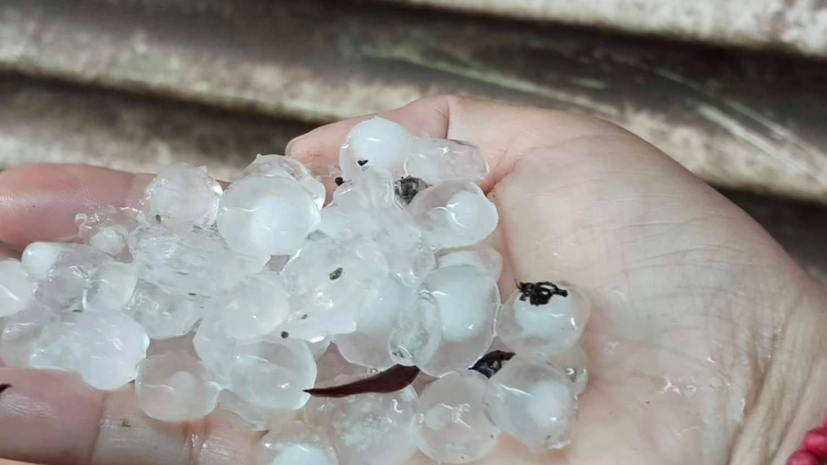 พายุฤดูร้อนถล่มเพชรบูรณ์ ลูกเห็บตกซัดบ้านเสียหาย 66 หลัง ฟ้าผ่าควายดับ 3 ตัว