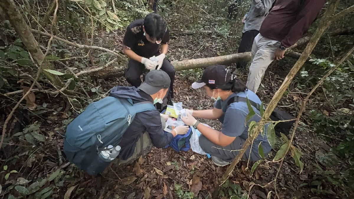 ภาพ @ กรมอุทยานแห่งชาติ สัตว์ป่า และพันธุ์พืช