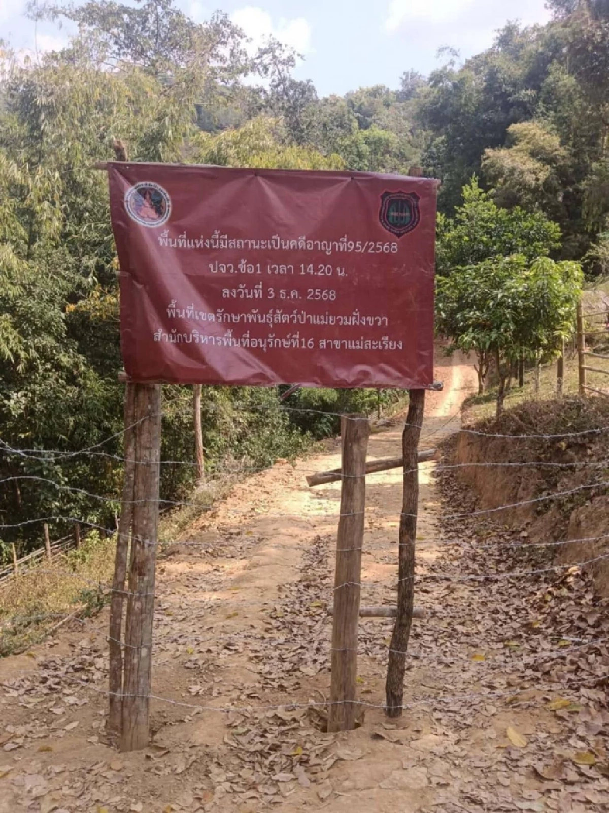 หัวหน้าเขตแม่ยวมฝั่งขวาผ่อนปรนใช้ถนนสายคดีกรณีฉุกเฉิน