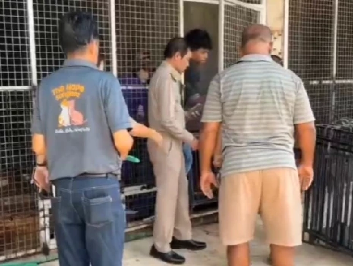 เดอะโฮป สงขลา จี้ปิดศูนย์พักพิงแม่ขรี พบสุนัขสุขภาพแย่