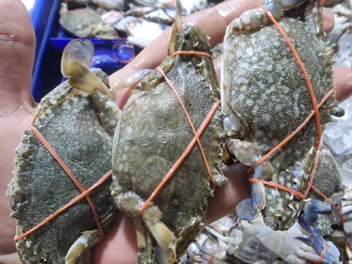 ช่วยชาวบ้าน! เจ๊เล็กทะเลสดเปิดขายราคาถูกสวนค่าน้ำมัน