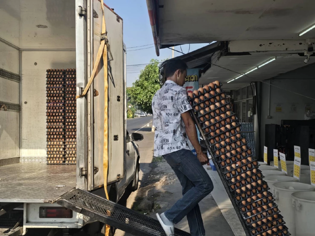พ่อค้าแม่ค้าบุรีรัมย์โอด ไข่ไก่ปรับราคาขึ้น 2 รอบในเดือนเดียว