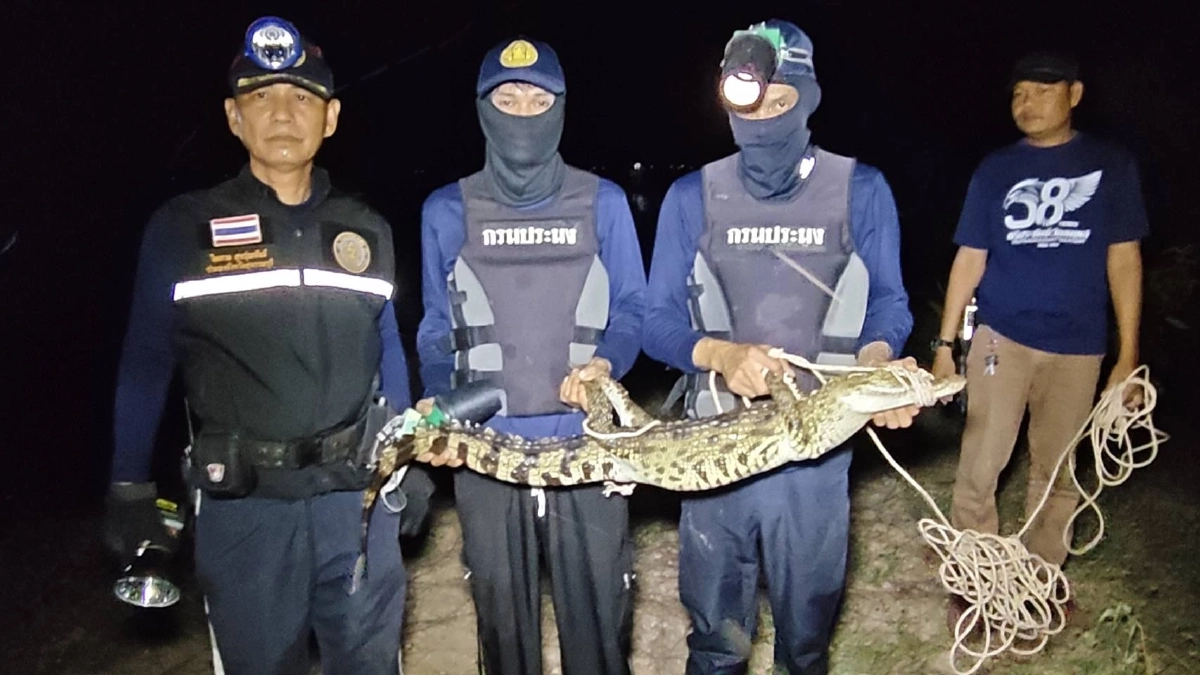 ยาย 69 คิดว่าตัวเงินตัวทอง คว้ากระบวยเคาะกบาลก่อนรู้ความจริง