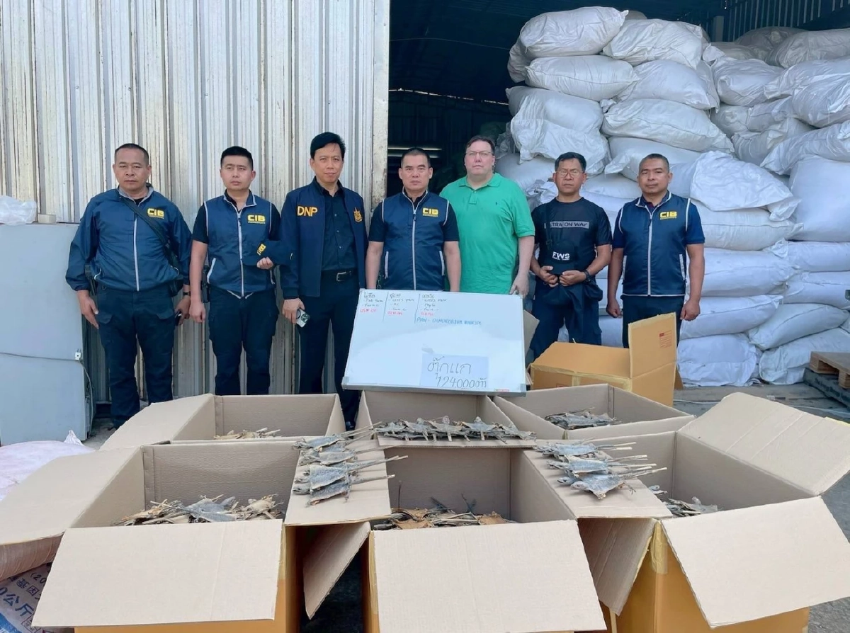 บุกโกดังยึดซากตุ๊กแกกว่า 1.2 แสนตัว ขยายผลขบวนการค้าสัตว์ป่า