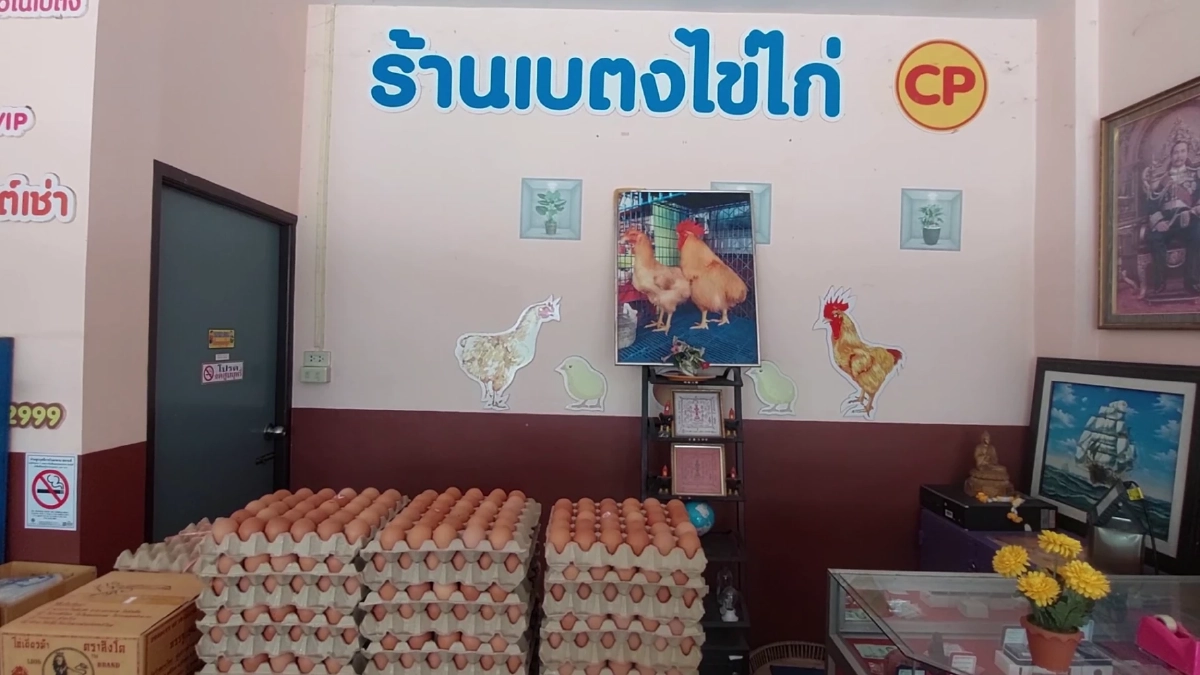 เบตงโอด! หมู-ไก่-ไข่พุ่ง วอนรัฐเร่งช่วยด่วน ก่อนแบกต้นทุนไม่ไหว