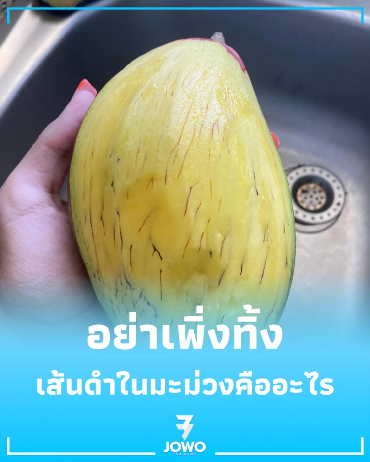 ไขปริศนา เส้นดำ ในมะม่วงสุก อันตรายจริงหรือแค่เรื่องธรรมชาติ