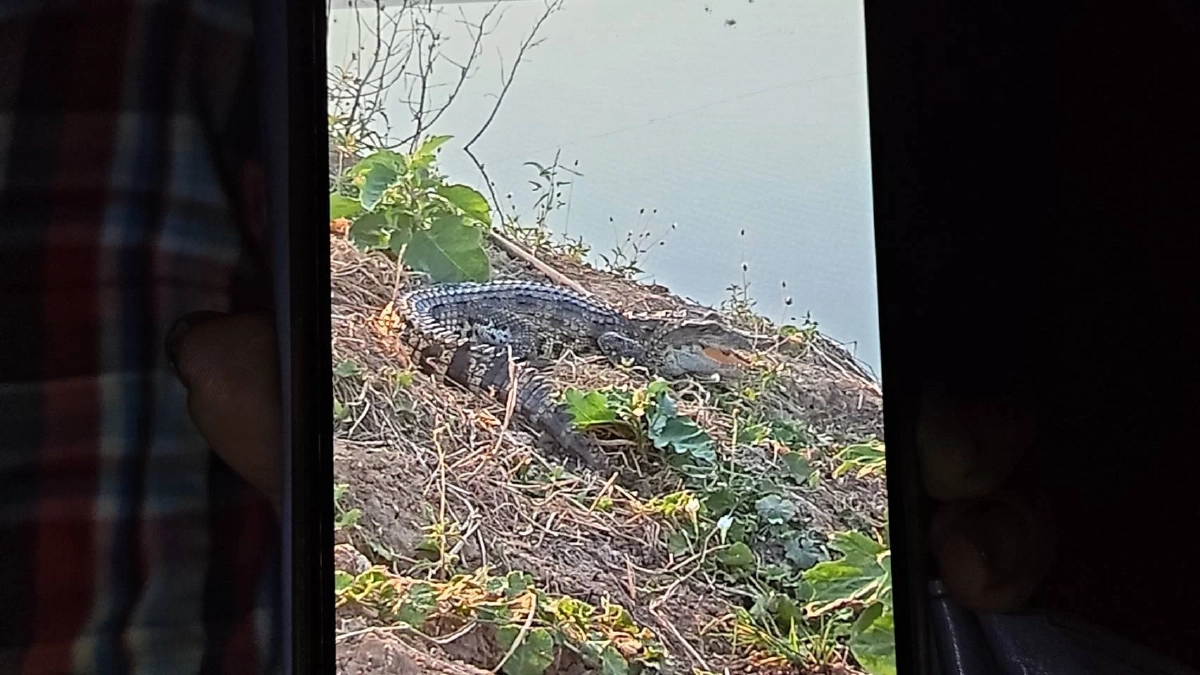 ยาย 69 คิดว่าตัวเงินตัวทอง คว้ากระบวยเคาะกบาลก่อนรู้ความจริง