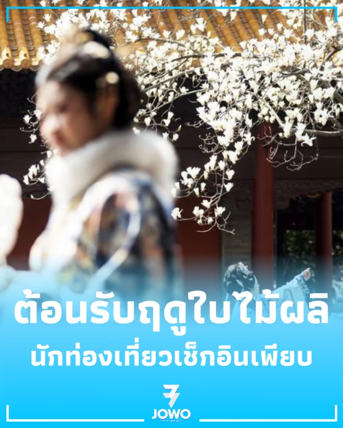 เกินต้าน ส่องนาทีดอกไม้บานสะพรั่งทั่วจีน เนรมิต สวรรค์บนดิน รับฤดูใบไม้ผลิ 2026