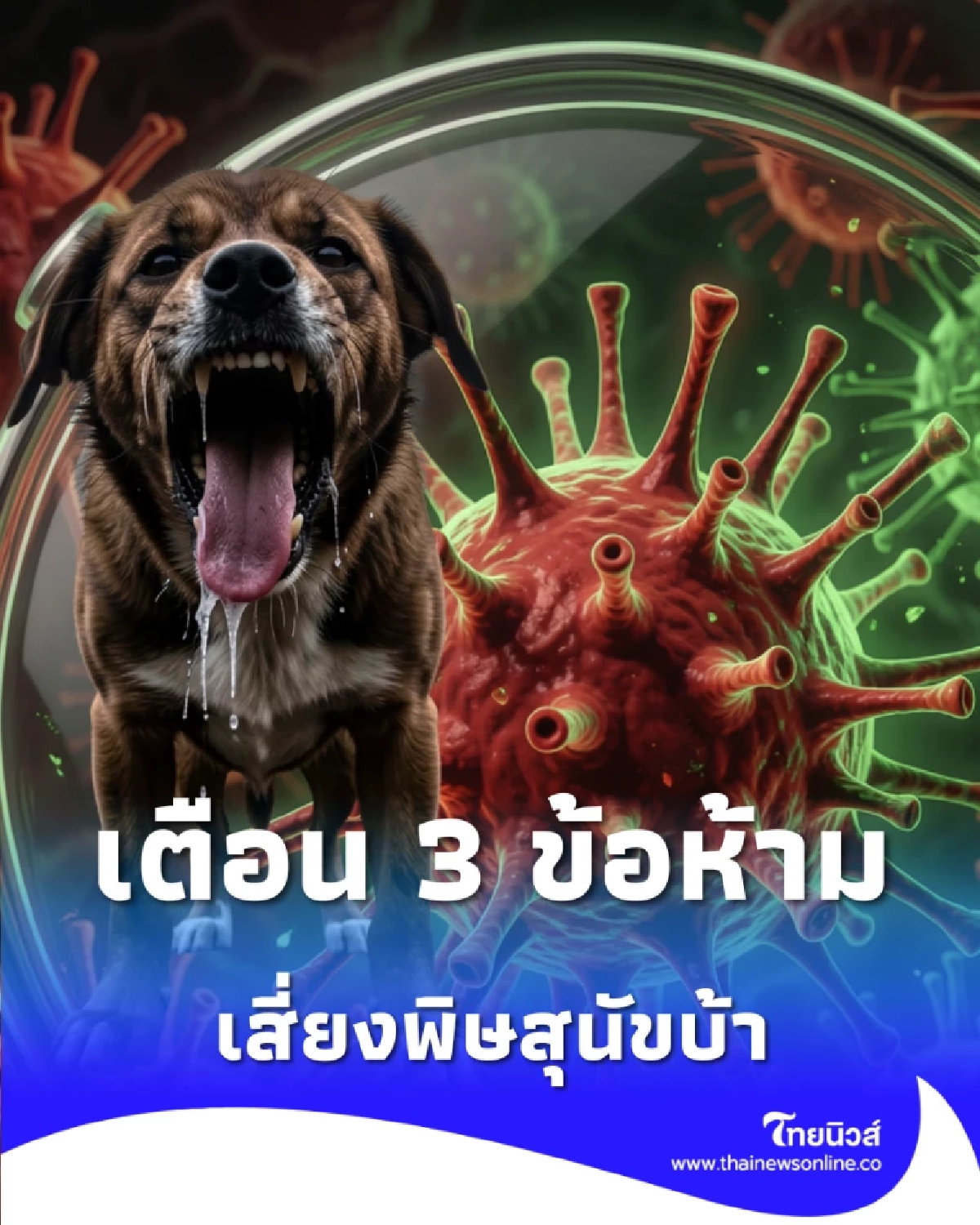 เตือนภัย 3 ข้อห้ามทำ เสี่ยงโรคพิษสุนัขบ้า อันตรายถึงชีวิต