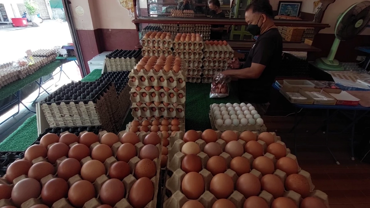 เบตงโอด! หมู-ไก่-ไข่พุ่ง วอนรัฐเร่งช่วยด่วน ก่อนแบกต้นทุนไม่ไหว