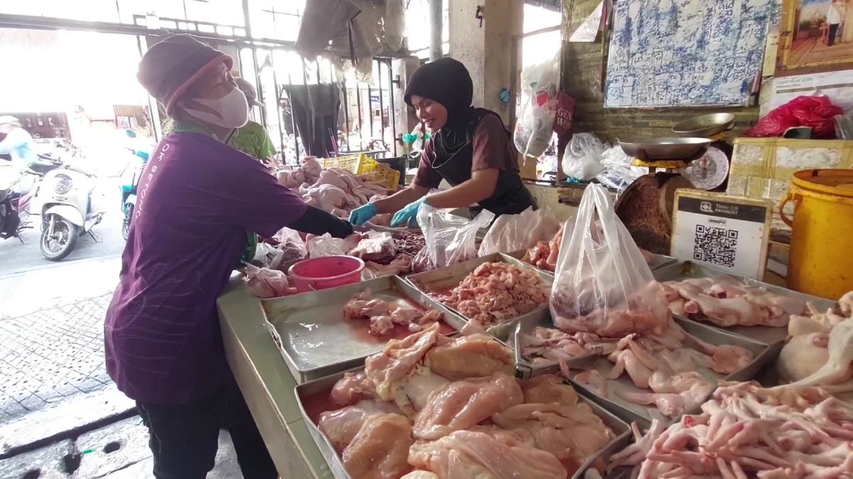 เบตงโอด! หมู-ไก่-ไข่พุ่ง วอนรัฐเร่งช่วยด่วน ก่อนแบกต้นทุนไม่ไหว