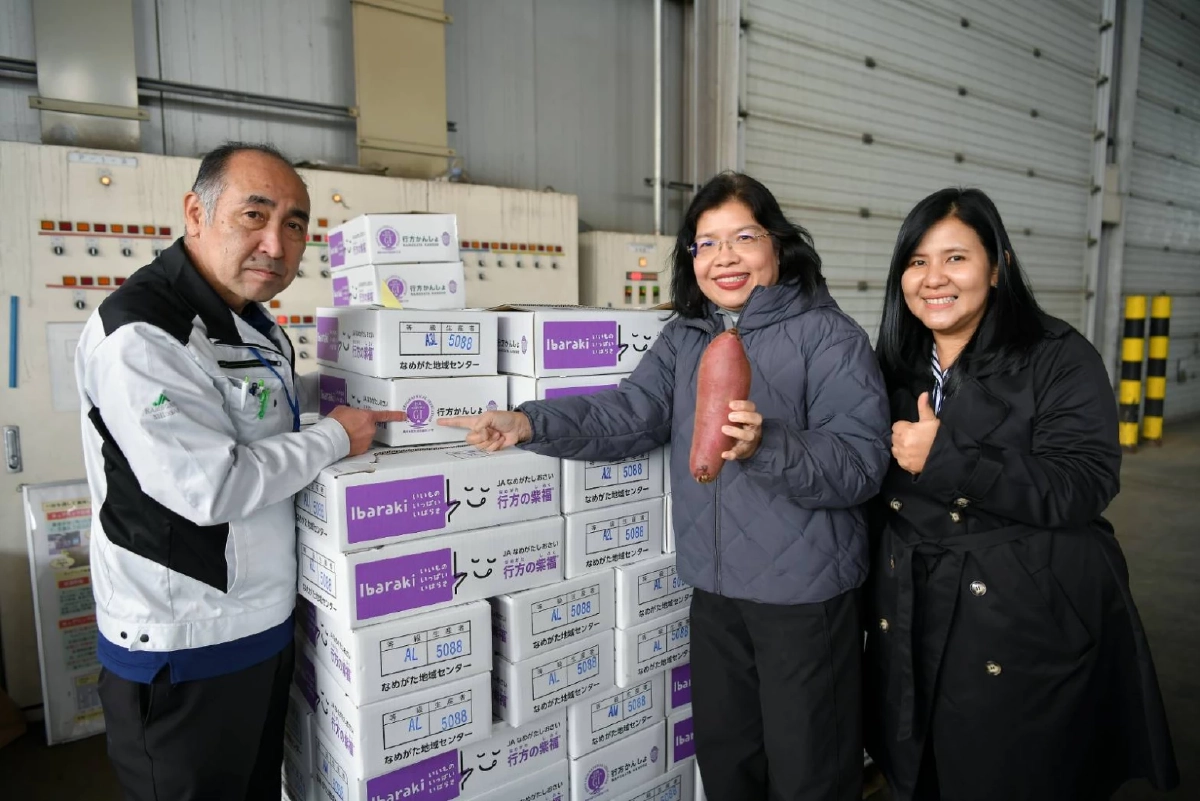 กรมทรัพย์สินทางปัญญา บุกญี่ปุ่น ศึกษาโมเดลปลูกมันหวาน ยกระดับ GI ไทย สู่ตลาดพรีเมียมโลก