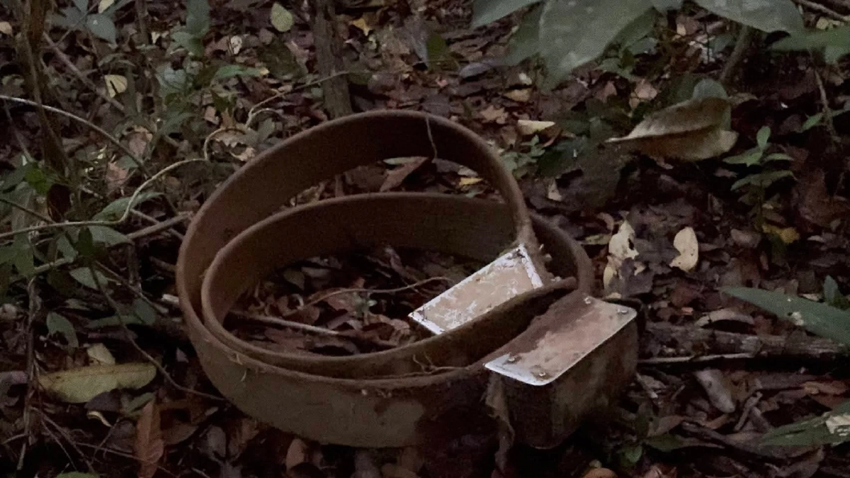 วินาทีถอดปลอกคอ GPS "สีดอปี๊ด" คืนสู่อิสรภาพครั้งใหญ่