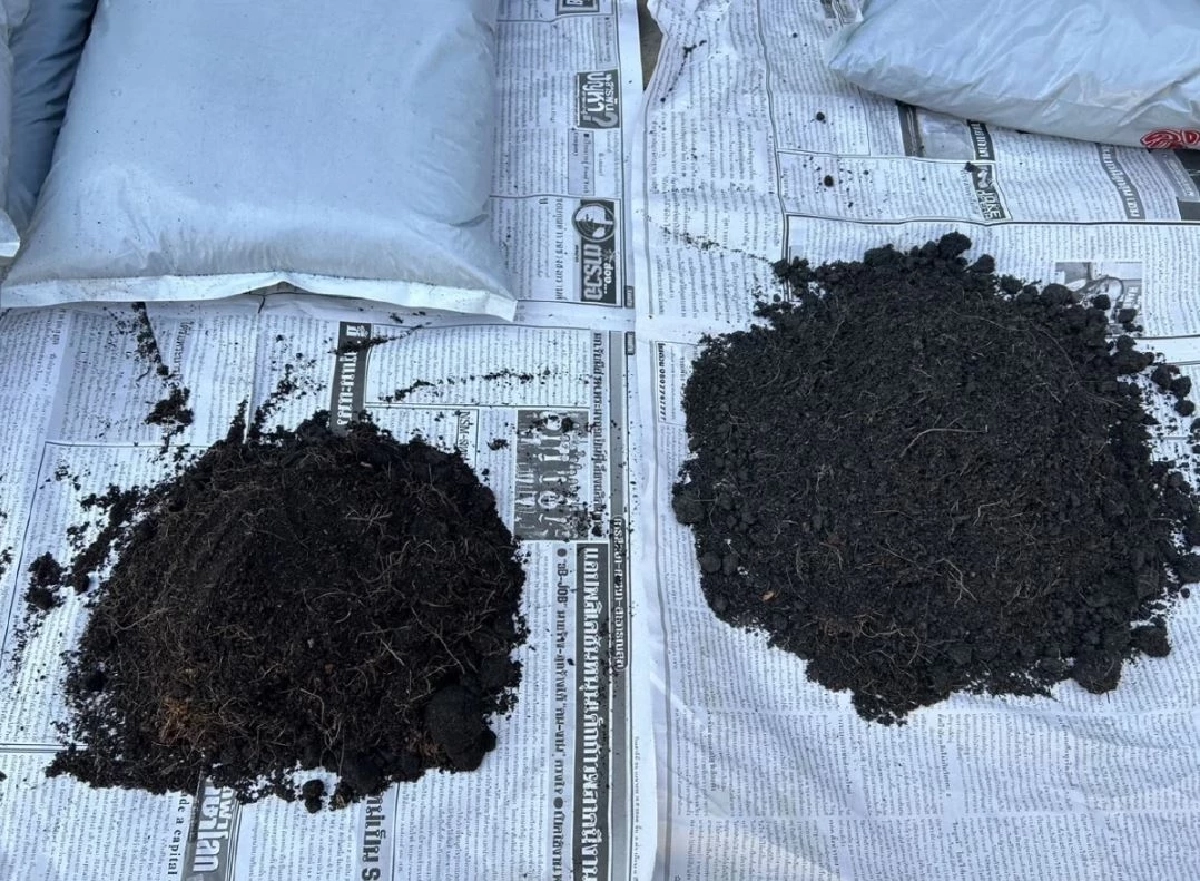 มือใหม่หัดปลูกต้องรู้ เคล็ดลับเลือกดินให้ถูก ดอกผลงามชัวร์