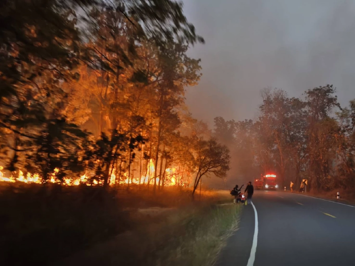 จนท.ดับไฟป่าลื่นตกดอยแขนหัก ขณะสกัดเพลิงคลั่งรอยต่อ 2 อำเภอ