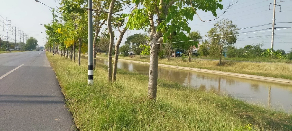 ชาวบ้านแห่ขึงเชือกจองที่ขายของถนนข้าวสุกรับสงกรานต์ปี 69