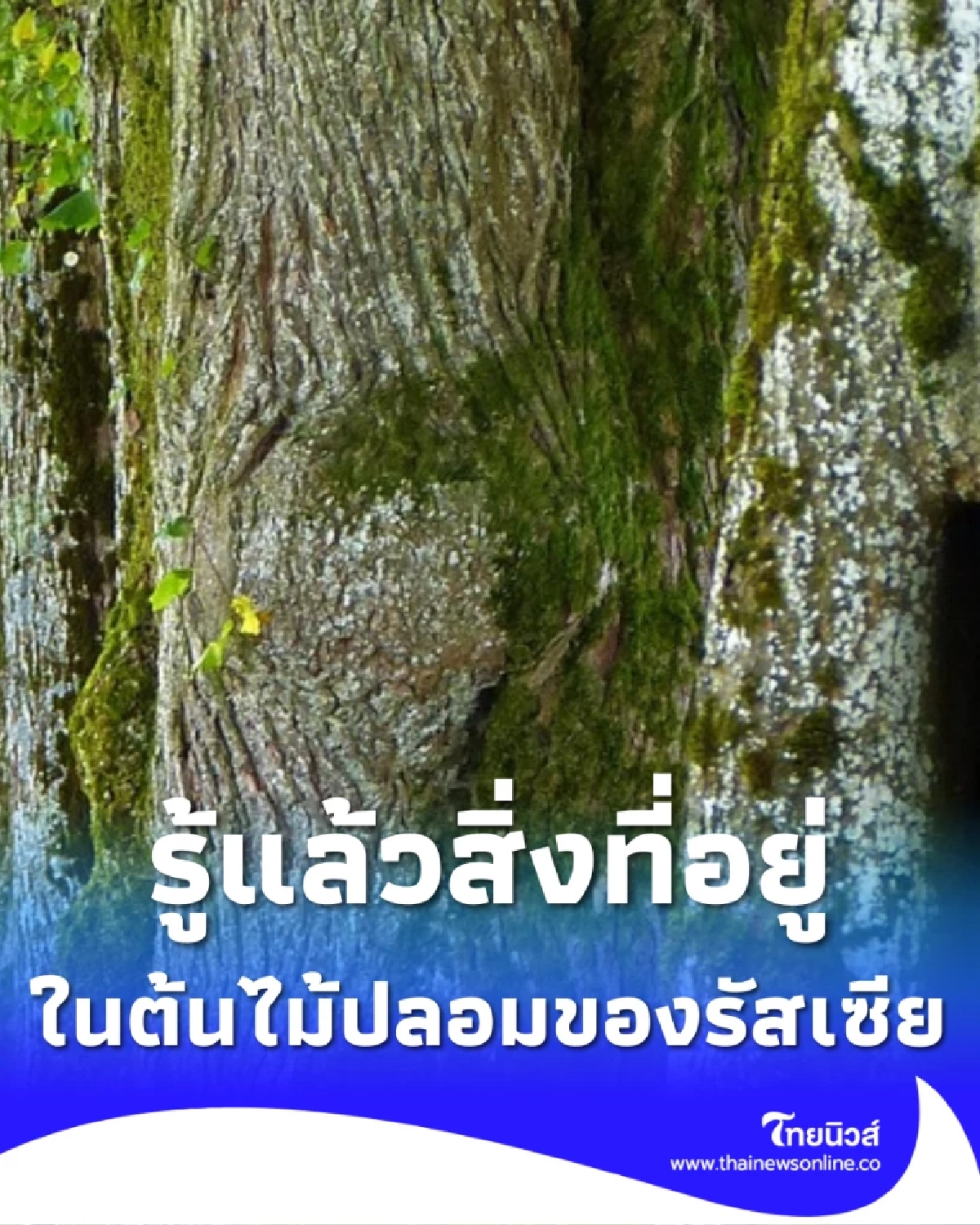 พูดไปใครจะเชื่อ รู้แล้วสิ่งที่ซ่อนอยู่ในต้นไม้ปลอมของรัสเซีย