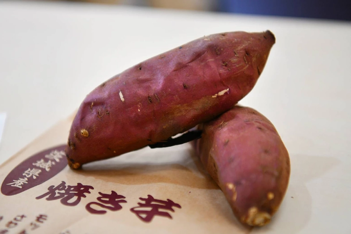 กรมทรัพย์สินทางปัญญา บุกญี่ปุ่น ศึกษาโมเดลปลูกมันหวาน ยกระดับ GI ไทย สู่ตลาดพรีเมียมโลก