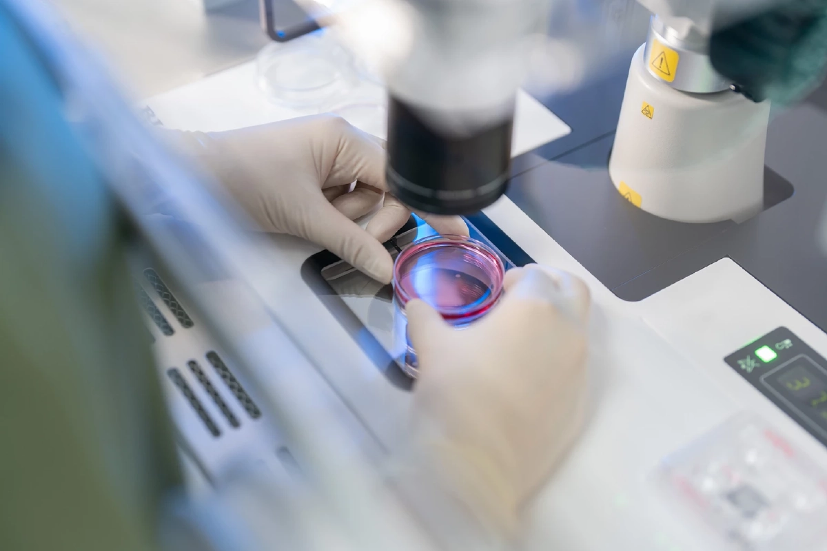 Gift Fertility ลงนามความร่วมมือเชิงกลยุทธ์ PRINC Group  ยกระดับเวชศาสตร์การเจริญพันธุ์