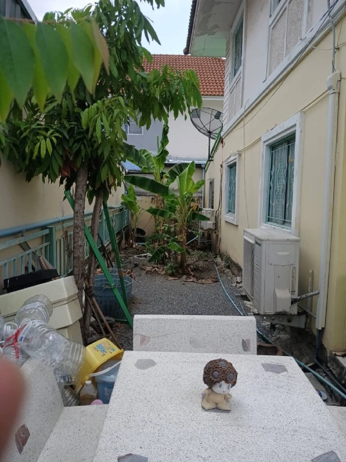 แม่น้องการ์ตูน ประกาศขายบ้าน อยู่ในช่วงวิกฤต ต้องใช้เงินด่วน