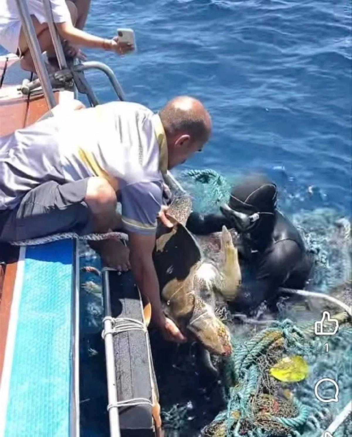 อุทยานฯ สิมิลัน ช่วยเต่าหญ้าติดอวนเกาะบอน ส่งรักษาภูเก็ต