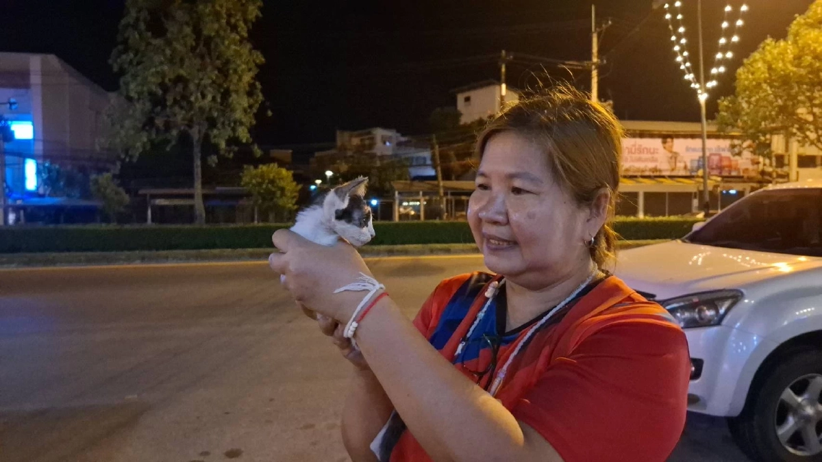 นาทีชีวิต! สกัดฝาท่อช่วยลูกแมวรอดปาฏิหาริย์ ชาวบ้านใจดีรับเลี้ยงต่อ