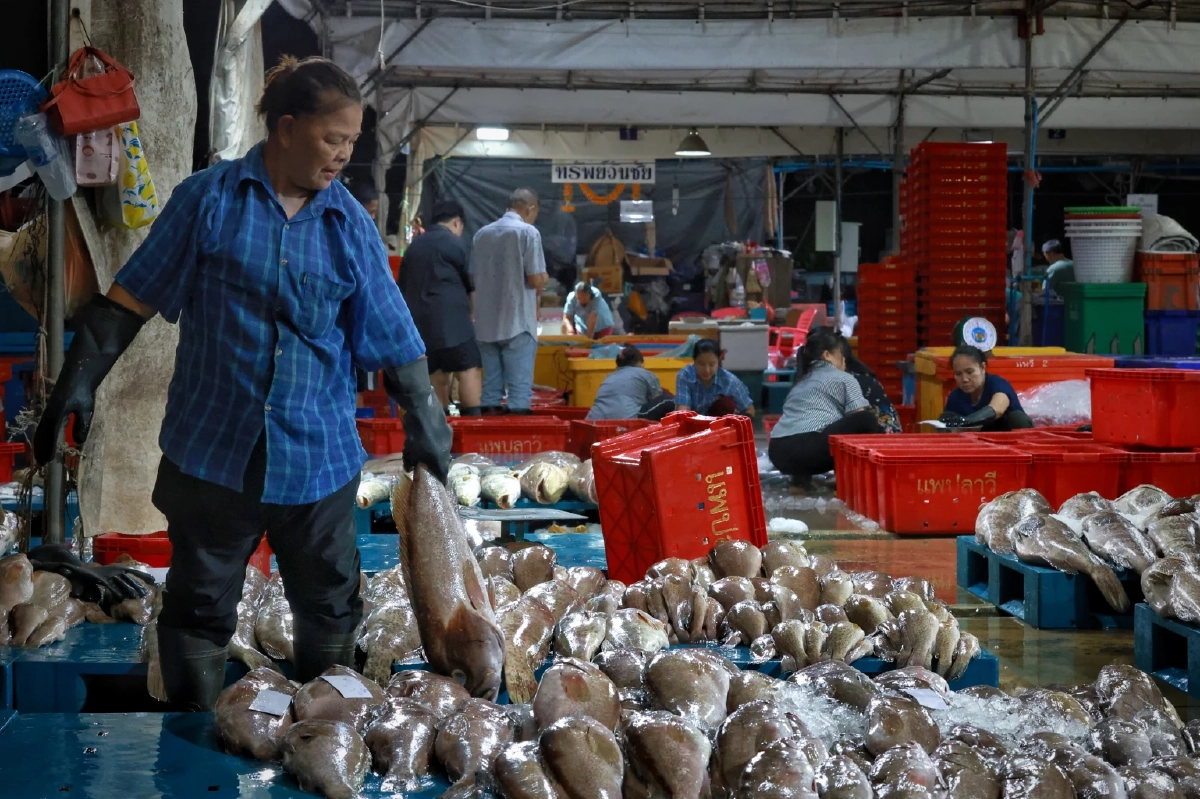 แพปลาโอดน้ำมันพุ่ง-ต้นทุนพุ่ง 30% วอนรัฐคุมราคาอุปกรณ์ด่วน