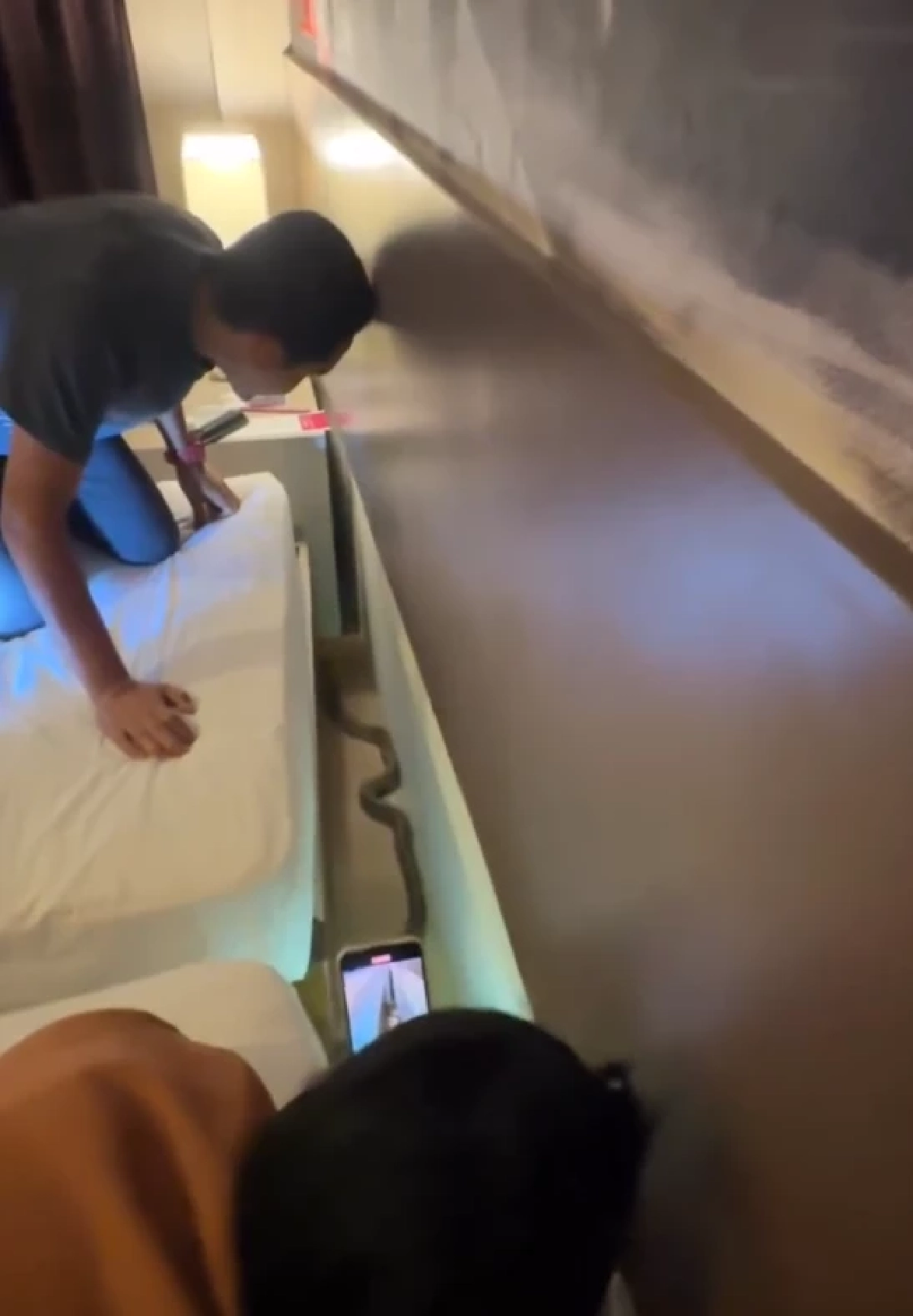 สยองหนัก คู่รักพักโรงแรม เจองูเห่าเลื้อยพาดคอ เปิดเลขห้องชัด