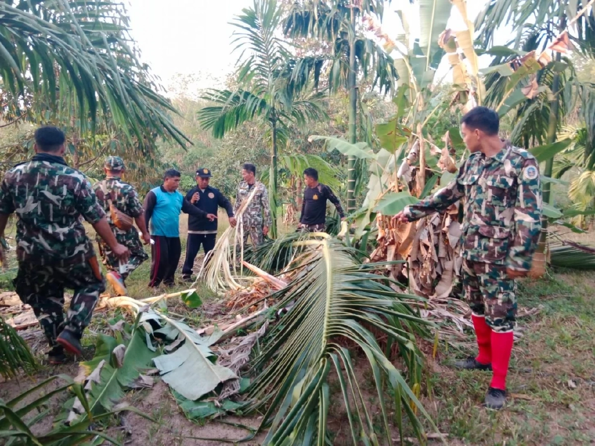 รัฐบาลสนับสนุนงบกลางปี 69 งวดแรกกว่า 7.3 ล้านบาท ให้กรมอุทยานฯ