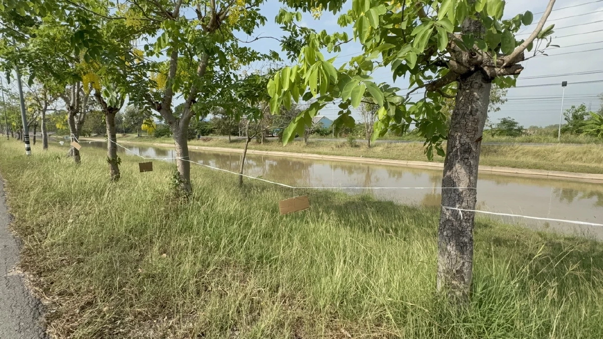 ชาวบ้านแห่ขึงเชือกจองที่ขายของถนนข้าวสุกรับสงกรานต์ปี 69