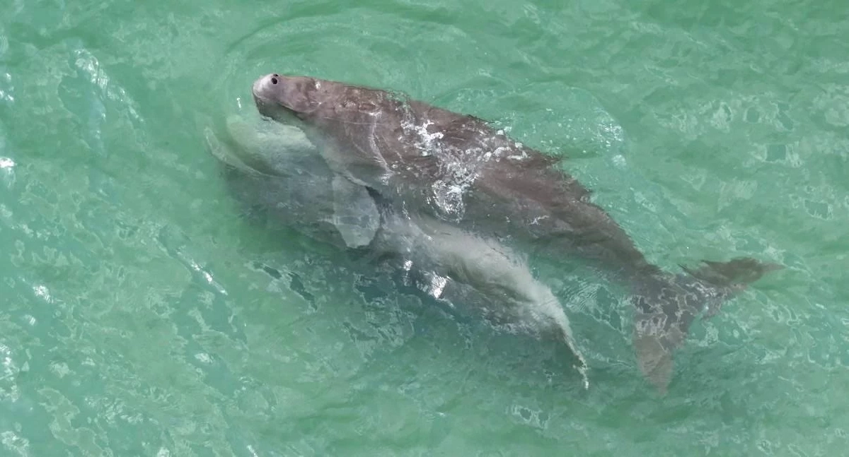 ที่มา : กรมอุทยานแห่งชาติ สัตว์ป่า และพันธุ์พืช