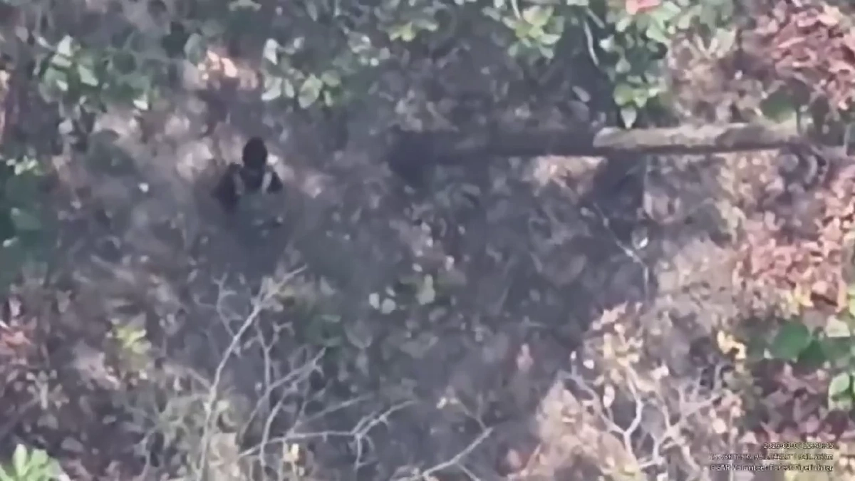 โดรนแฉภาพชายชุดดำลอบเผาป่าดอยสะเก็ด จนท.ระดมกำลังไล่ล่า