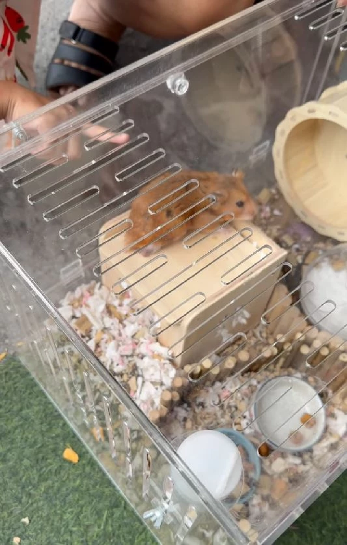 ทนดูไม่ได้ 2 ชีวิตถูกทิ้งตากแดดข้างกองขยะ สาวมาเจอไม่ปล่อยผ่าน