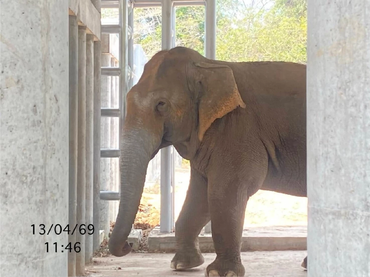 เผยความจริง! สีดอแก้วตาเจ็บจริงไหม? หลังคลิปว่อนโซเชียล