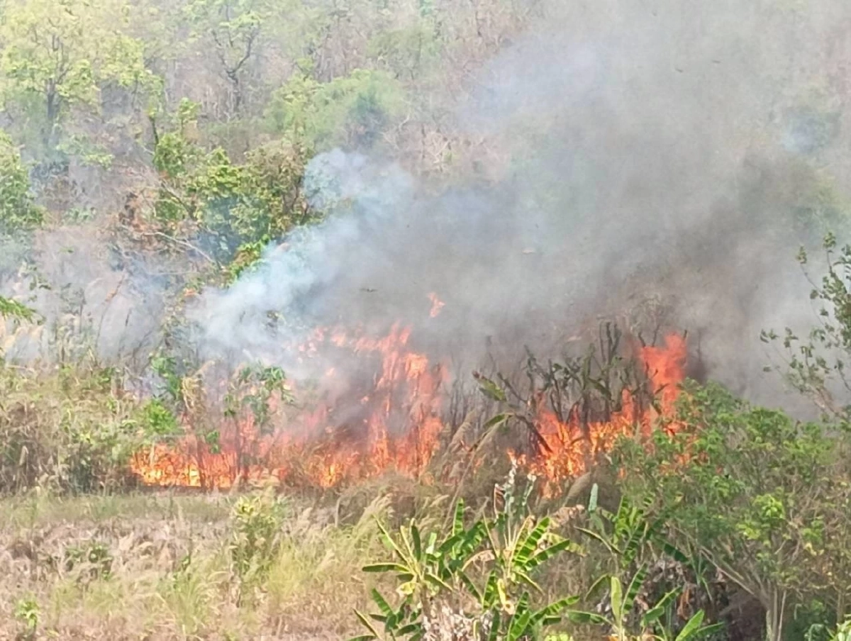 เมืองเลยวิกฤต! ค่าฝุ่น PM 2.5 พุ่งระดับแดงต่อเนื่อง 5 วันรวด 