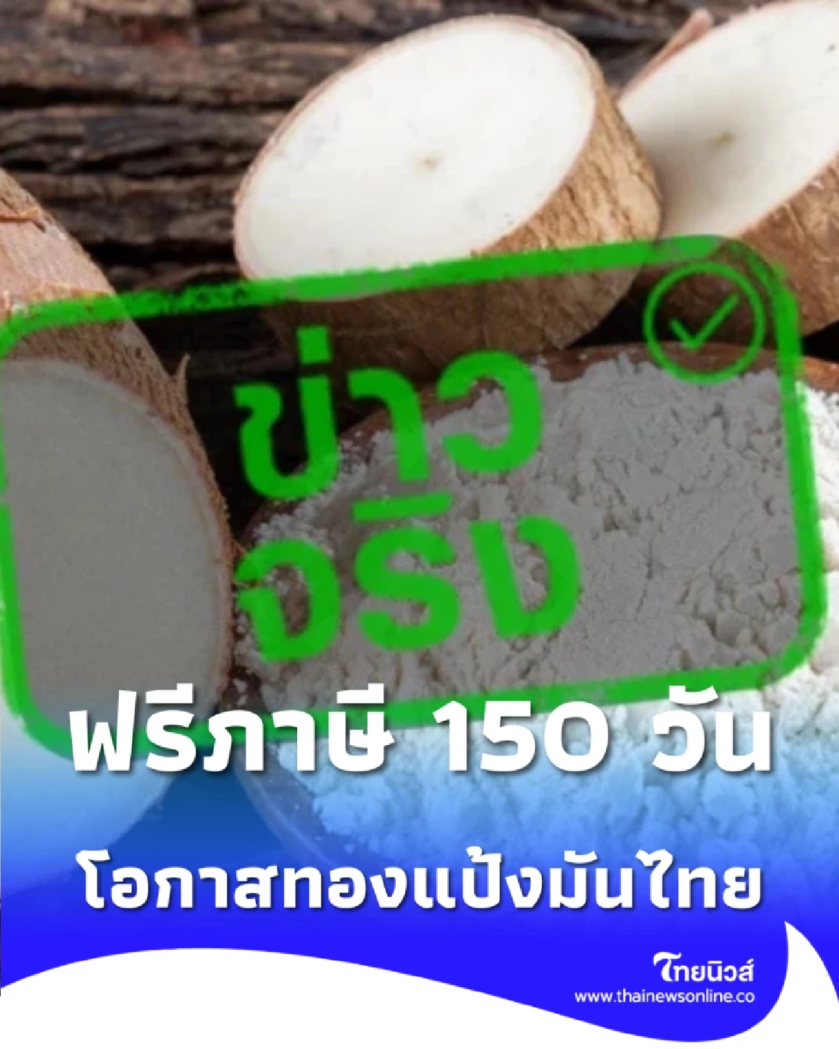 โอกาสทองแป้งมันไทย สหรัฐฯ เว้นภาษีนำเข้า 150 วัน ถึง 24 ก.ค. นี้