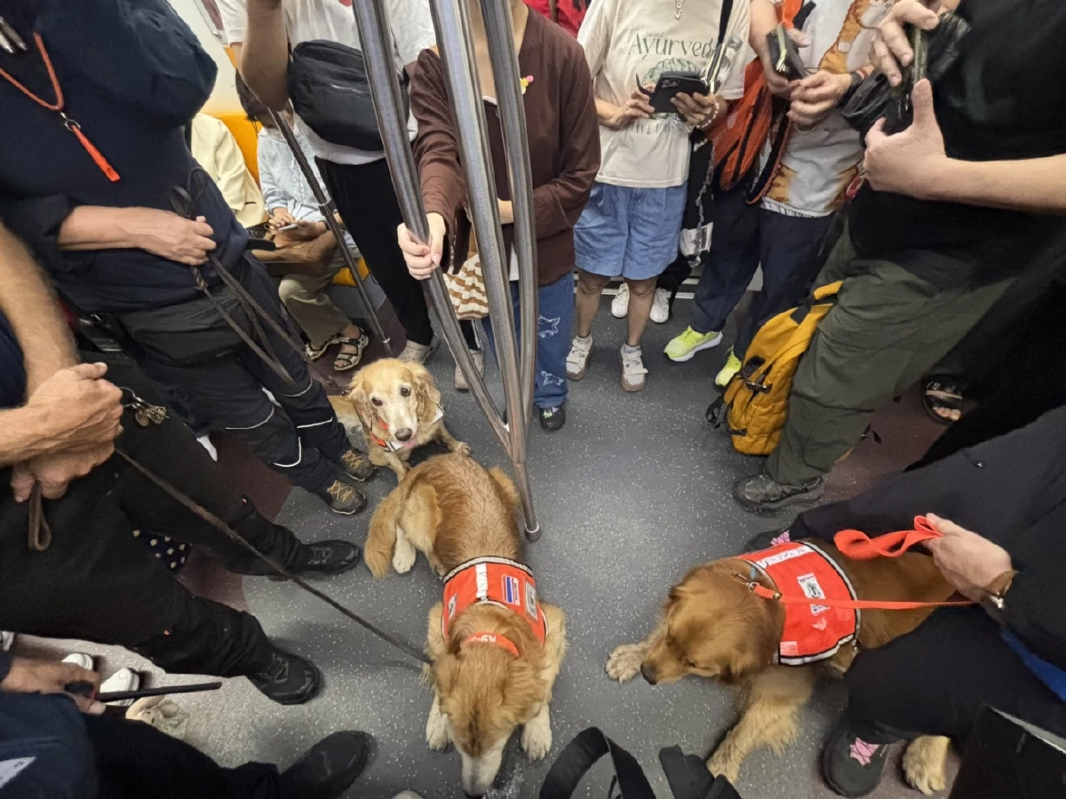 BTS เปิดสถานีต้อนรับทีม K9 USAR Thailand ซ้อมเคลื่อนย้ายกำลังพลผ่านระบบรถไฟฟ้า