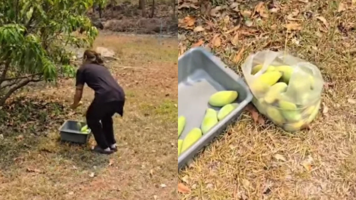 อดีตผู้ประกาศข่าวชื่อดัง เปิดภาพชีวิตเรียบง่ายใน “มีสุขแลนด์”